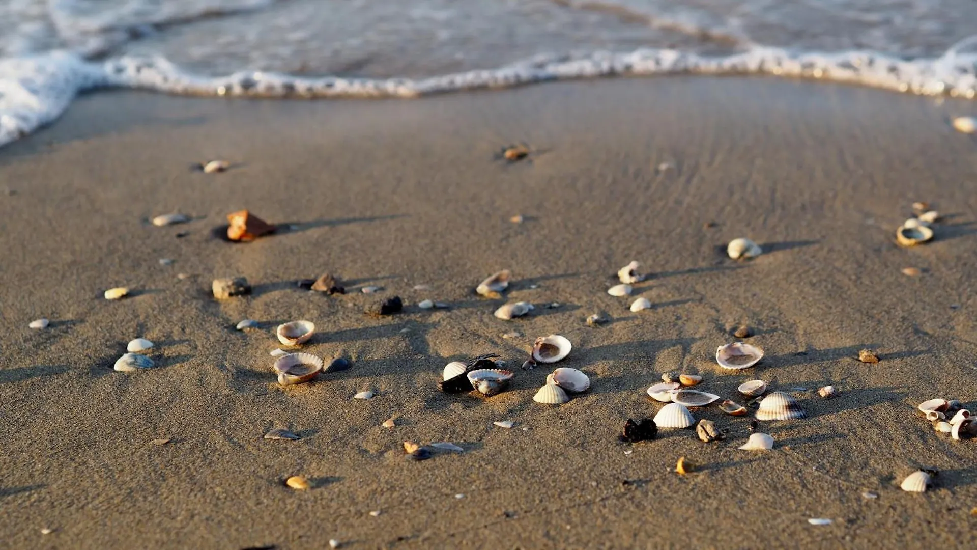 Apartment Lovely Flat 100M From The Beach Ideal For 6 Guests Bibione